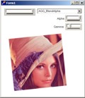 Screenshot: example