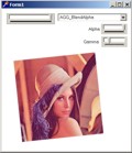 Screenshot: example