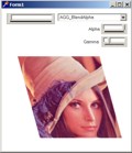 Screenshot: example