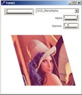 Screenshot: example