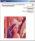 Screenshot: example